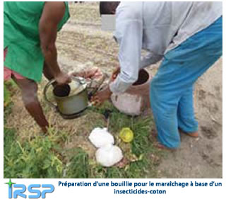Lutte intégrée contre le paludisme à base de pratiques agricoles innovantes en Afrique de l’Ouest » CRDI (2011-2013)